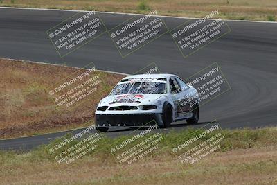 media/May-04-2024-Lucky Dog Racing (Sat) [[d39539b3f3]]/Race Pics/1015am (Turn 2)/